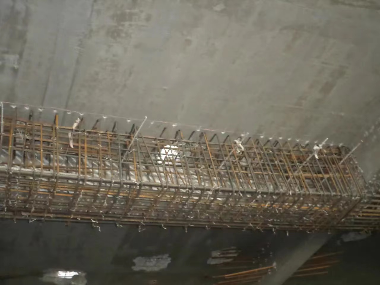 b07b5c03e9a061276c8121b67c37375